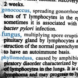 Phyllomedusa : Gonococcus - Fungus - Phyllomedusa
